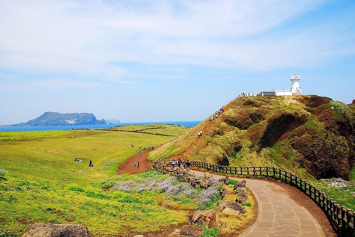 Top Những Điểm Check-In Không Thể Bỏ Qua Khi Đặt Chân Đến Jeju – Hòn Đảo Thiên Đường Của Hàn Quốc