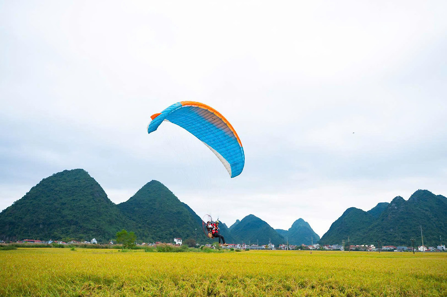 Lên Bắc Sơn Xem Người Tày Gặt Lúa, Giã Gạo, Làm Bánh Chưng Đen