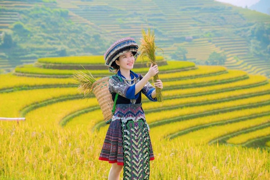 Những Điểm Check-In Triệu Like Không Thể Bỏ Lỡ Khi Du Lịch Mù Cang Chải Mùa Lúa Chín
