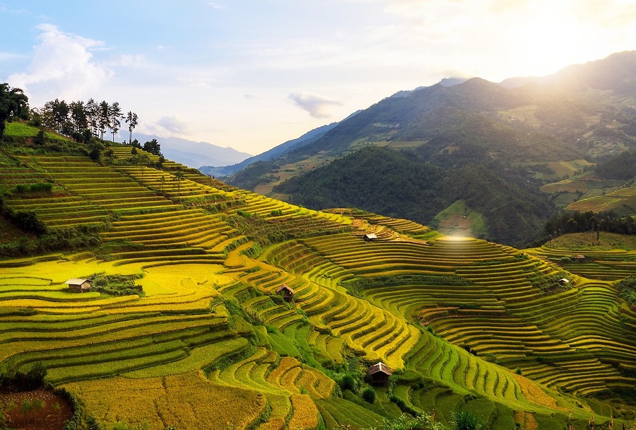 Những Điểm Check-In Triệu Like Không Thể Bỏ Lỡ Khi Du Lịch Mù Cang Chải Mùa Lúa Chín