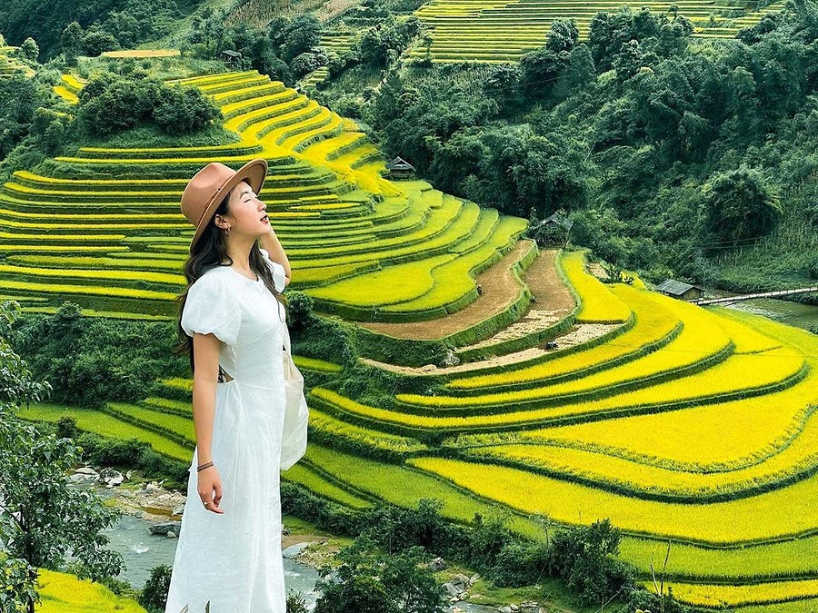 So Sánh Đi Tự Túc Và Đi Tour Mù Cang Chải - Trạm Tấu: Phương Án Nào Lợi Hơn?