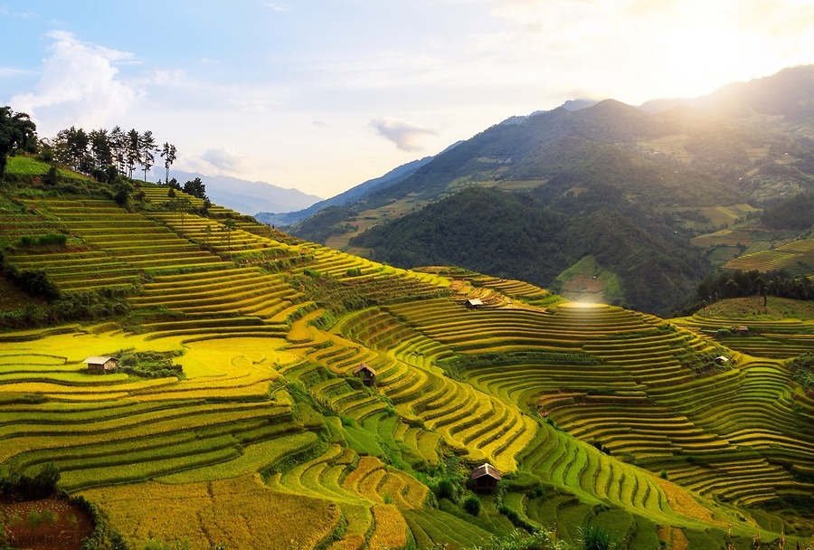 Mù Cang Chải Rộn Ràng Chuẩn Bị Giải Marathon Quốc Tế 2025 – Trải Nghiệm Mùa Vàng Cùng Tiên Phong Travel