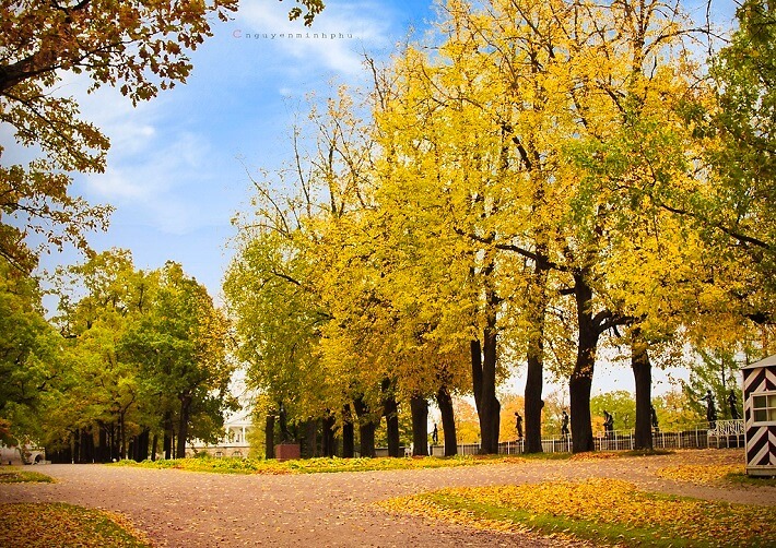 Đi du lịch Nga mùa Thu 2026 nên chọn tour 7 ngày hay 9 ngày?
