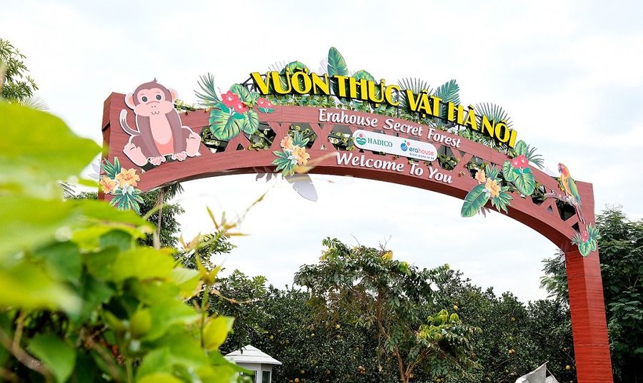Vườn Thực vật Hà Nội - khu rừng sinh thái giữa lòng Thủ đô và hành trình trở thành điểm du lịch xanh mới