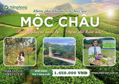 TOUR MỘC CHÂU 2 NGÀY 1 ĐÊM – “VIÊN NGỌC XANH GIỮA LÒNG TÂY BẮC