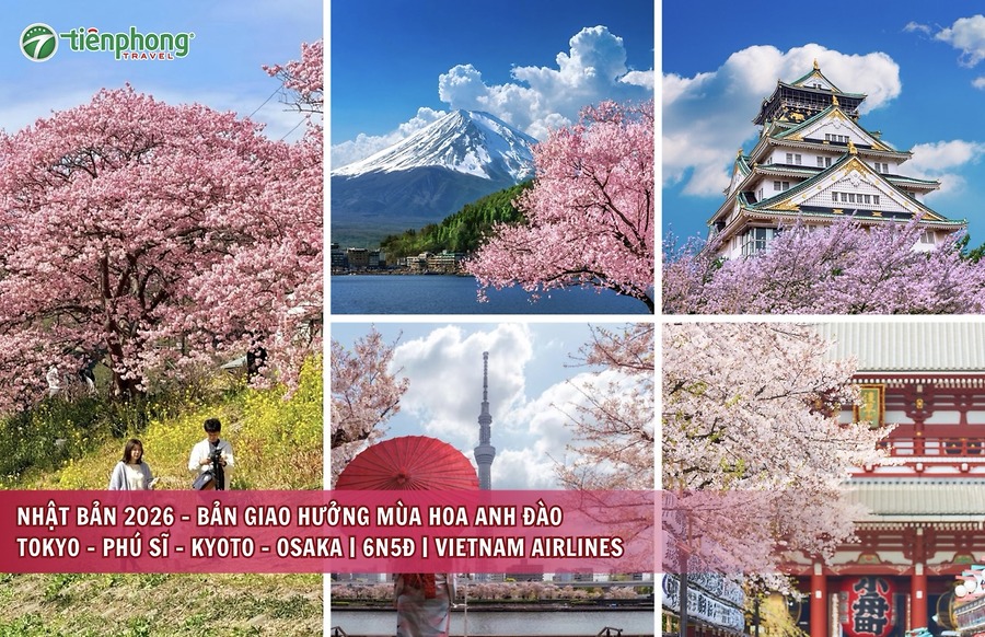TOUR HOA ANH ĐÀO NHẬT BẢN | TOKYO – PHÚ SĨ – KYOTO – OSAKA | 6N5Đ | VNA