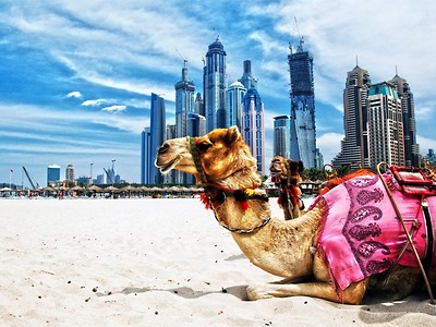 Du lịch Dubai - Abu Dhabi