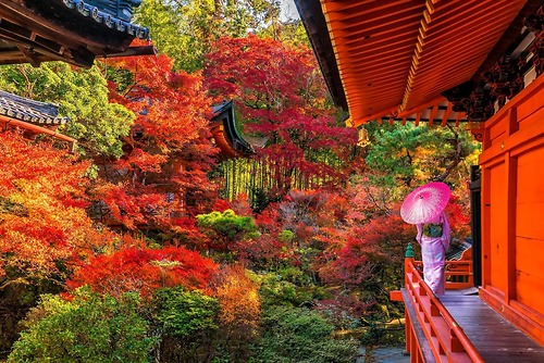 TOUR NHẬT BẢN MÙA THU 2026 | NARA - OSAKA - KYOTO - NAGOYA - PHÚ SĨ - TOKYO | 6N5Đ