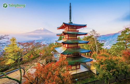 TOUR NHẬT BẢN MÙA THU 2026 | KOBE - OSAKA - KYOTO - NAGOYA - PHÚ SĨ - TOKYO | VJ | 6N5Đ